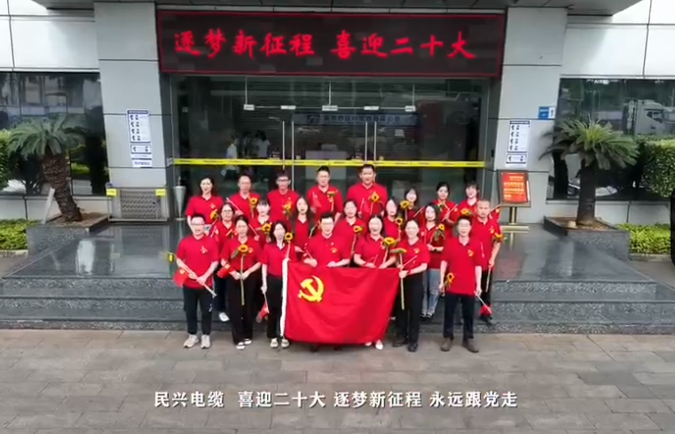 民興電纜喜迎二十大，奮進新征程！