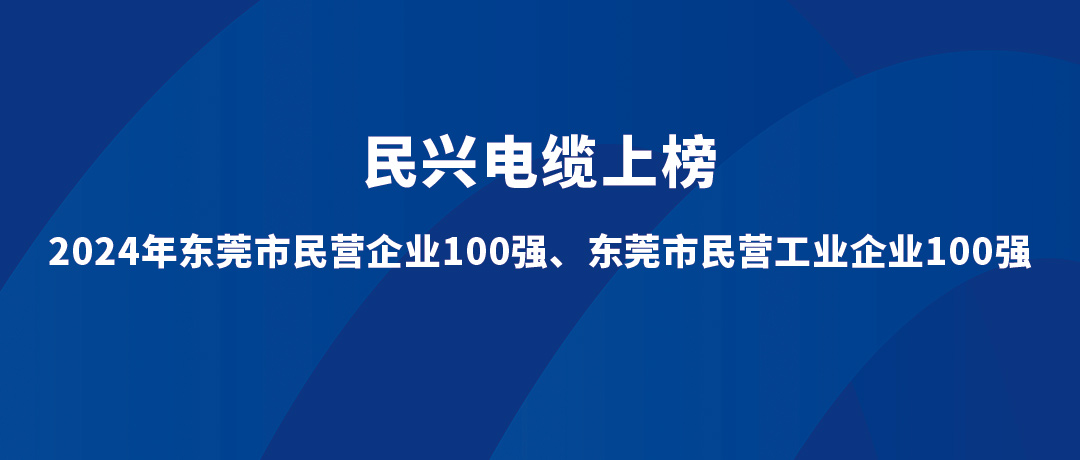 民興位列第15位！2024年?yáng)|莞市民營(yíng)工業(yè)企業(yè)100強(qiáng)榜單發(fā)布